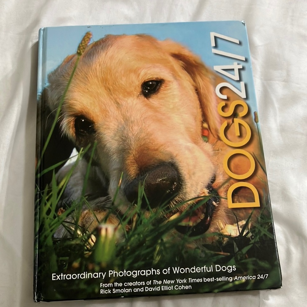 DOGS 24/7 Book - Blue and Yellow Cover